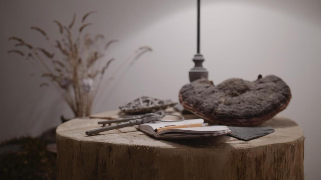 S'Harzala Taupe Lejlighed Bergheim Eksteriør billede